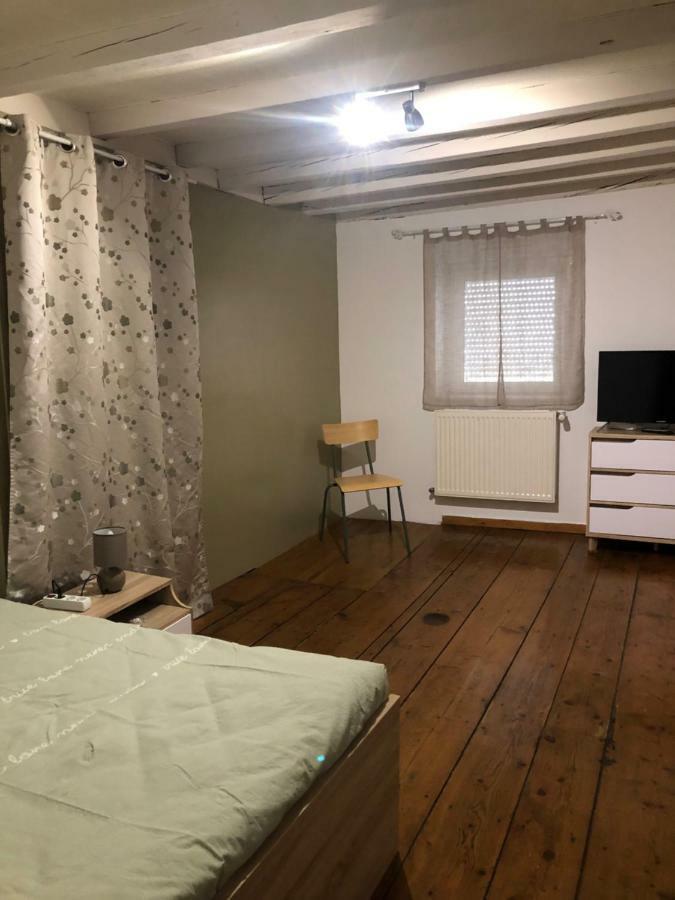Spacieux Appartement 2/6 Pers 110M² Proche Cnpe Lagnieu Kültér fotó