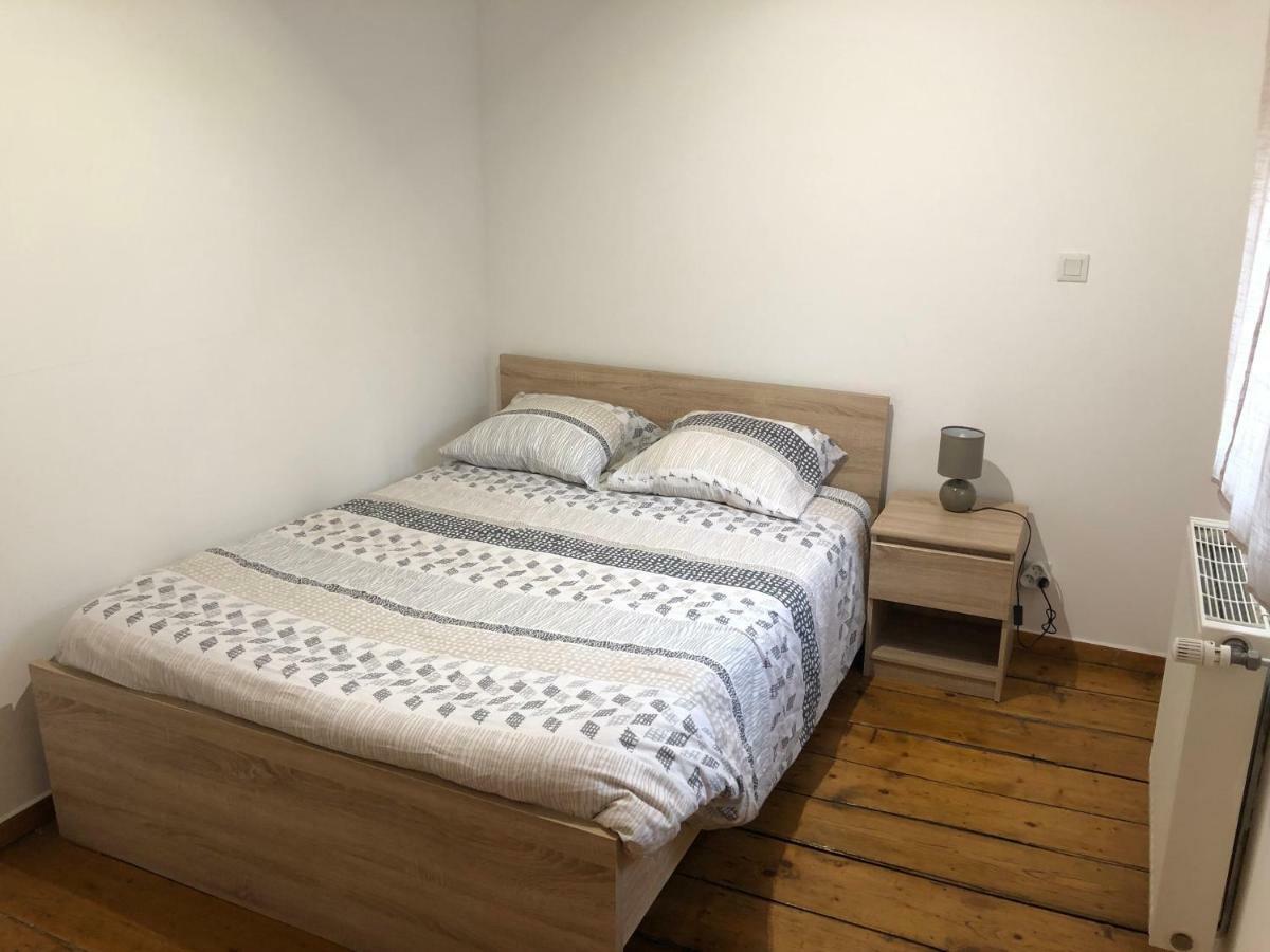 Spacieux Appartement 2/6 Pers 110M² Proche Cnpe Lagnieu Kültér fotó